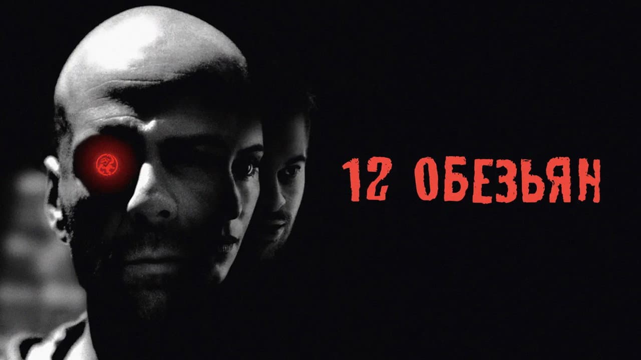 Кадр 1
