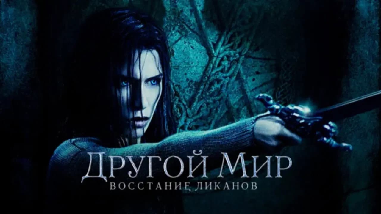 Кадр 3