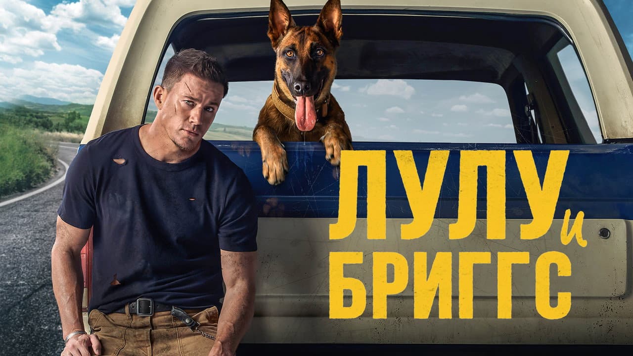 Кадр 1