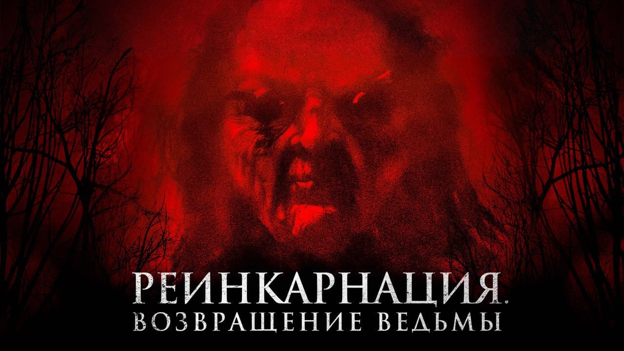 Кадр 1