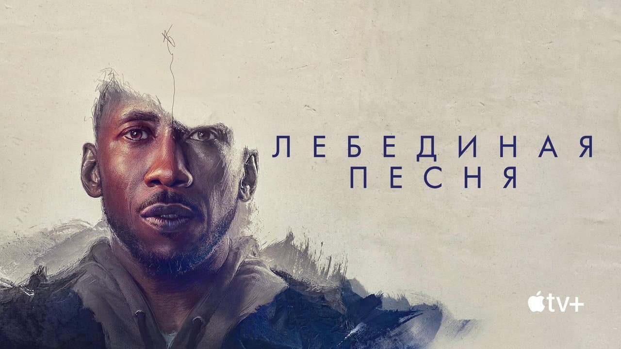 Кадр 1