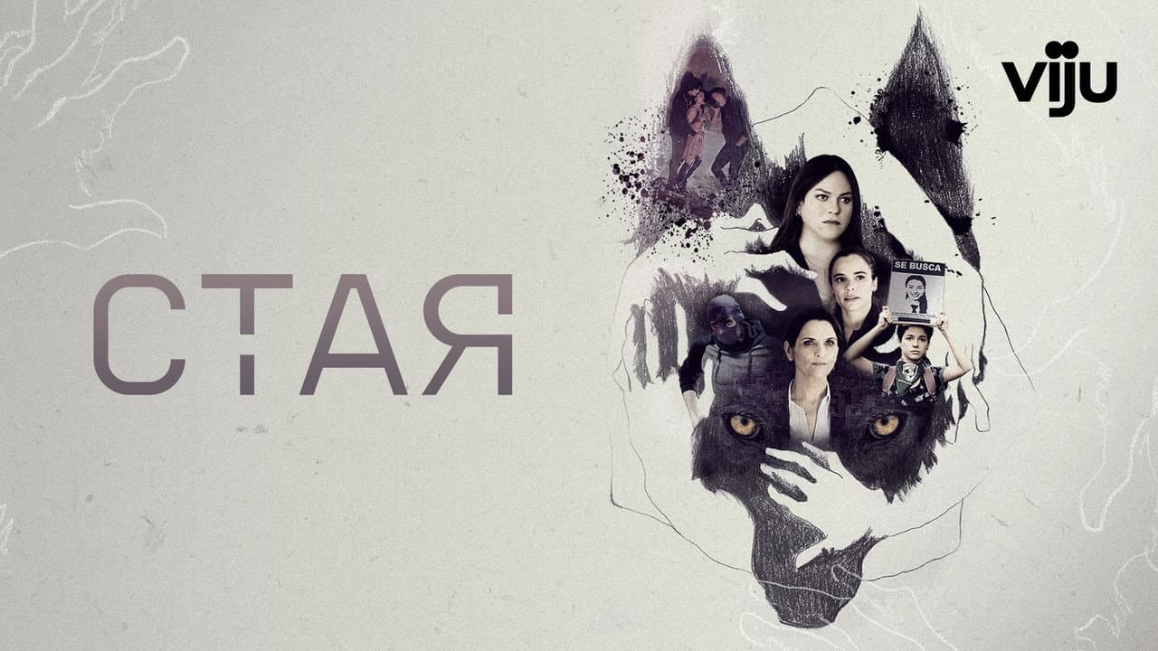 Кадр 1