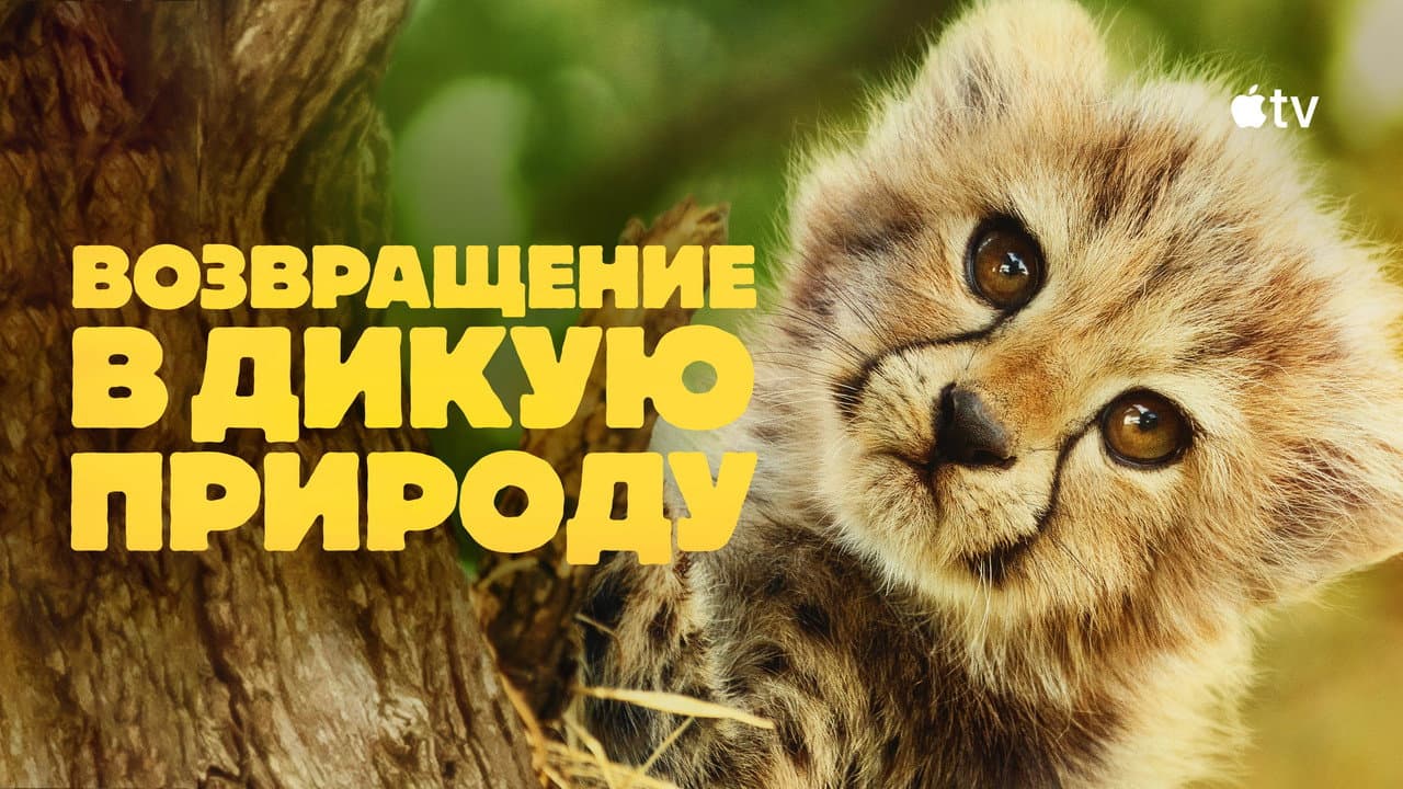 Кадр 1