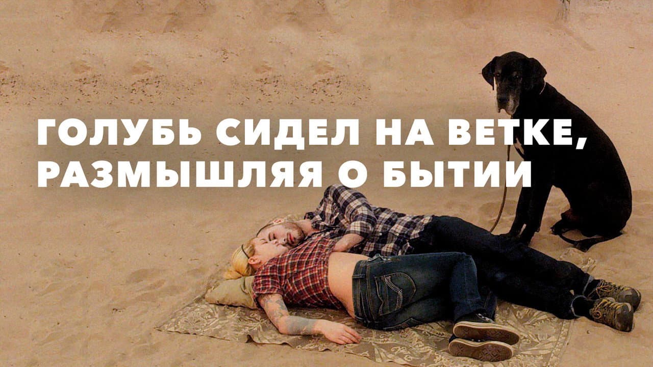 Кадр 1