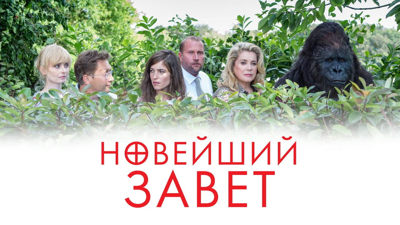 Кадр 1