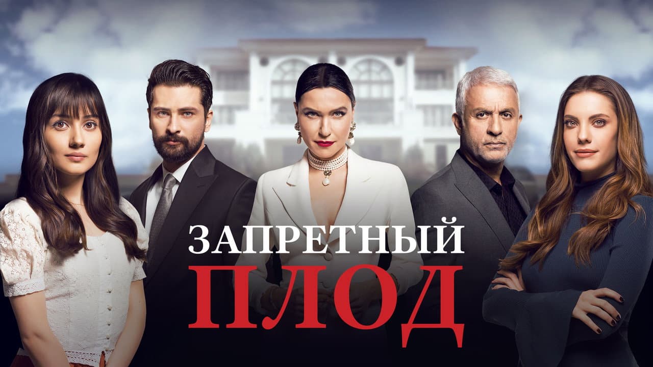 Кадр 1