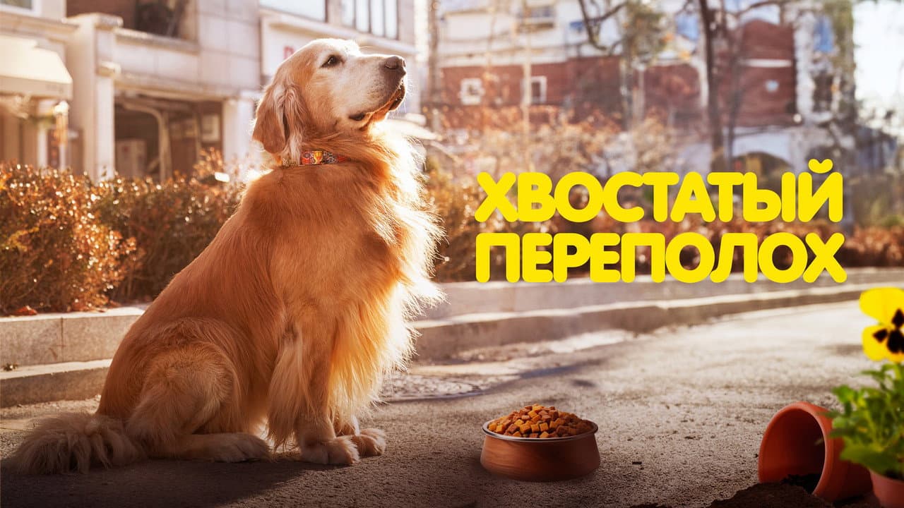 Кадр 2