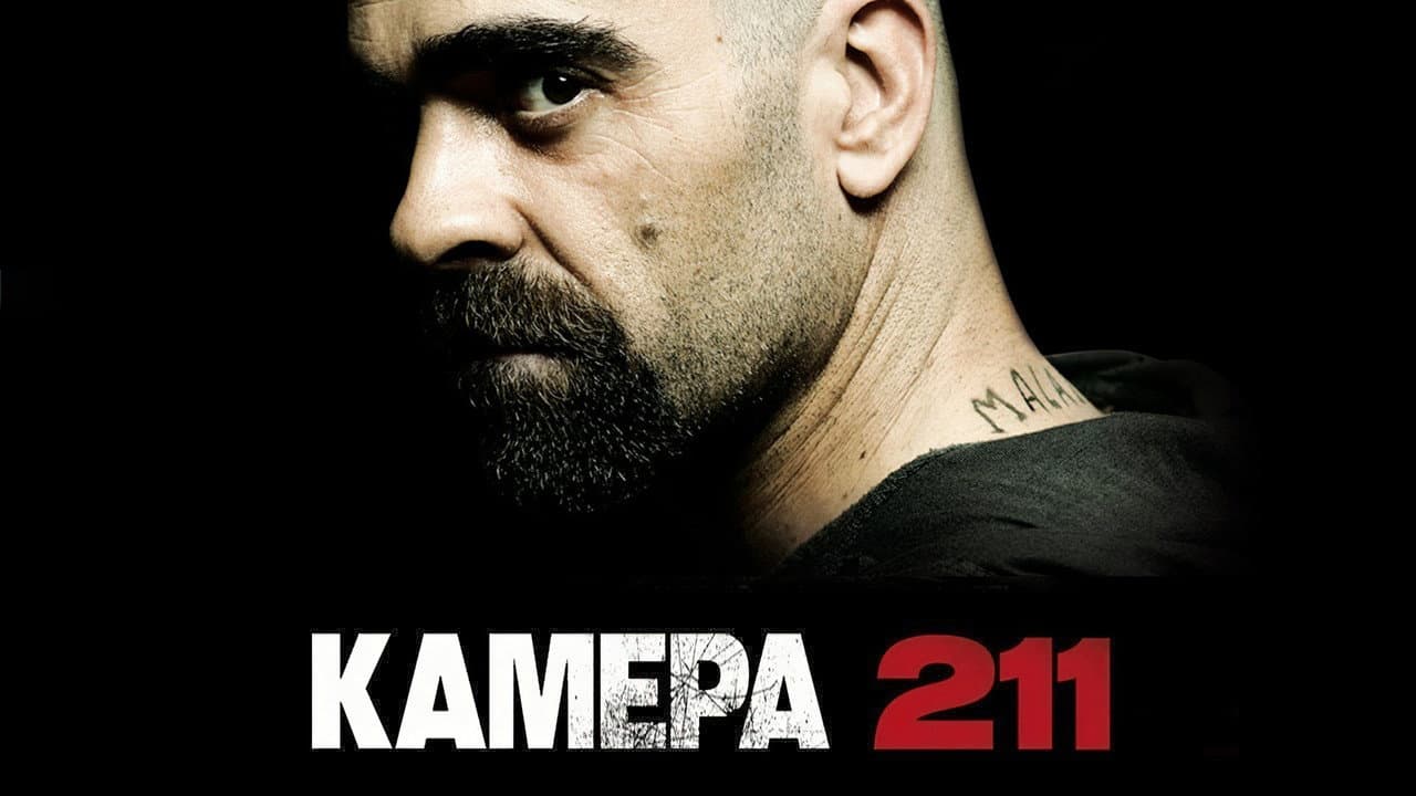 Кадр 1