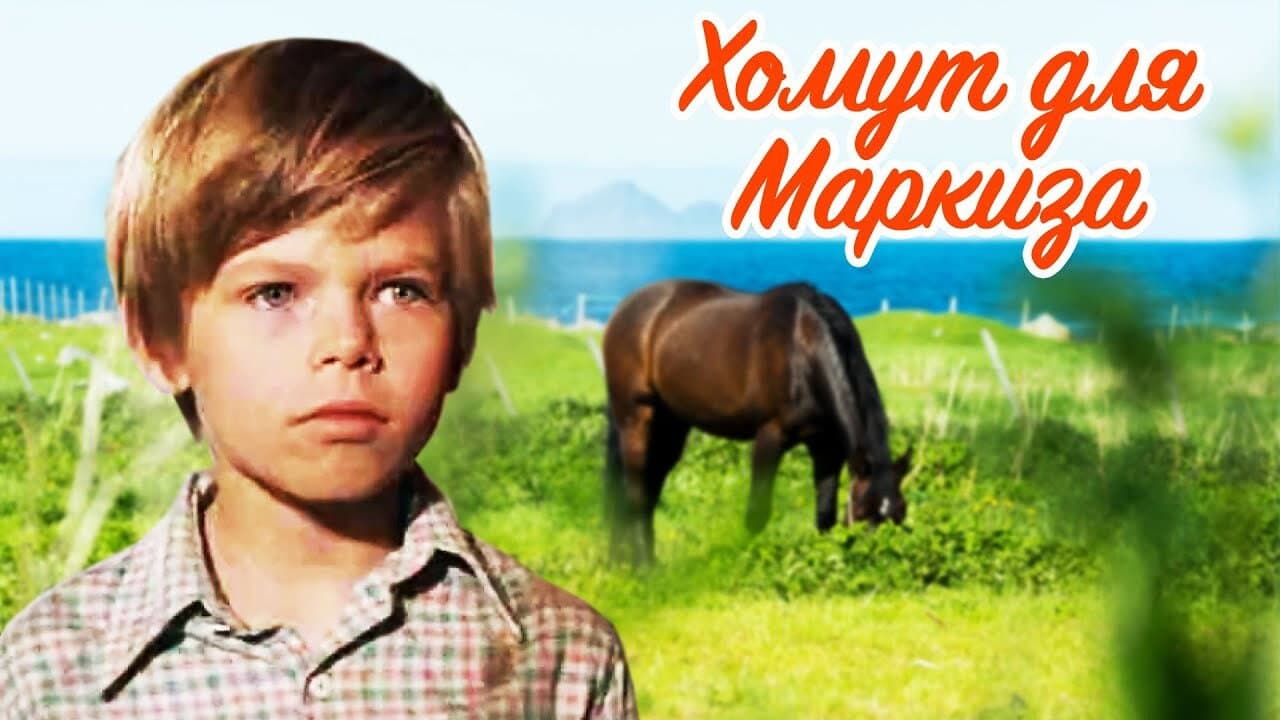 Кадр 1