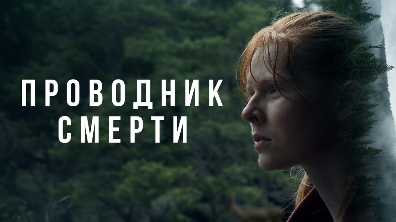 Кадр 1