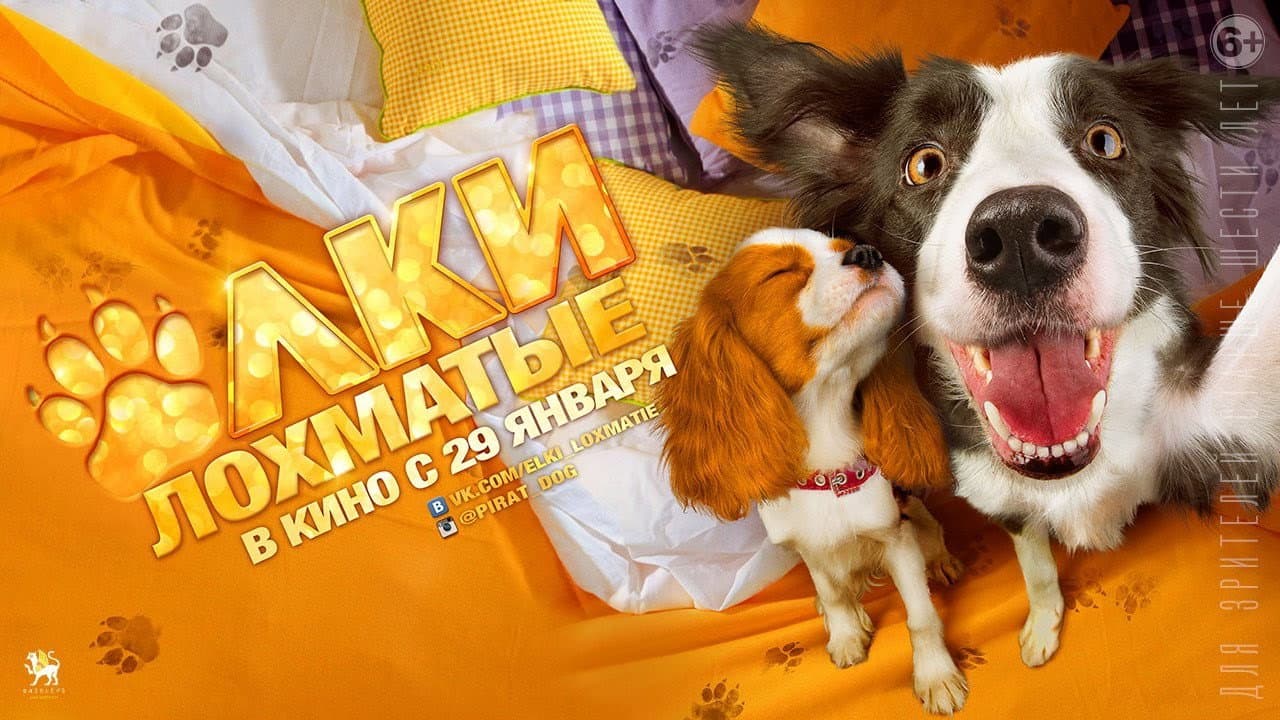 Кадр 1