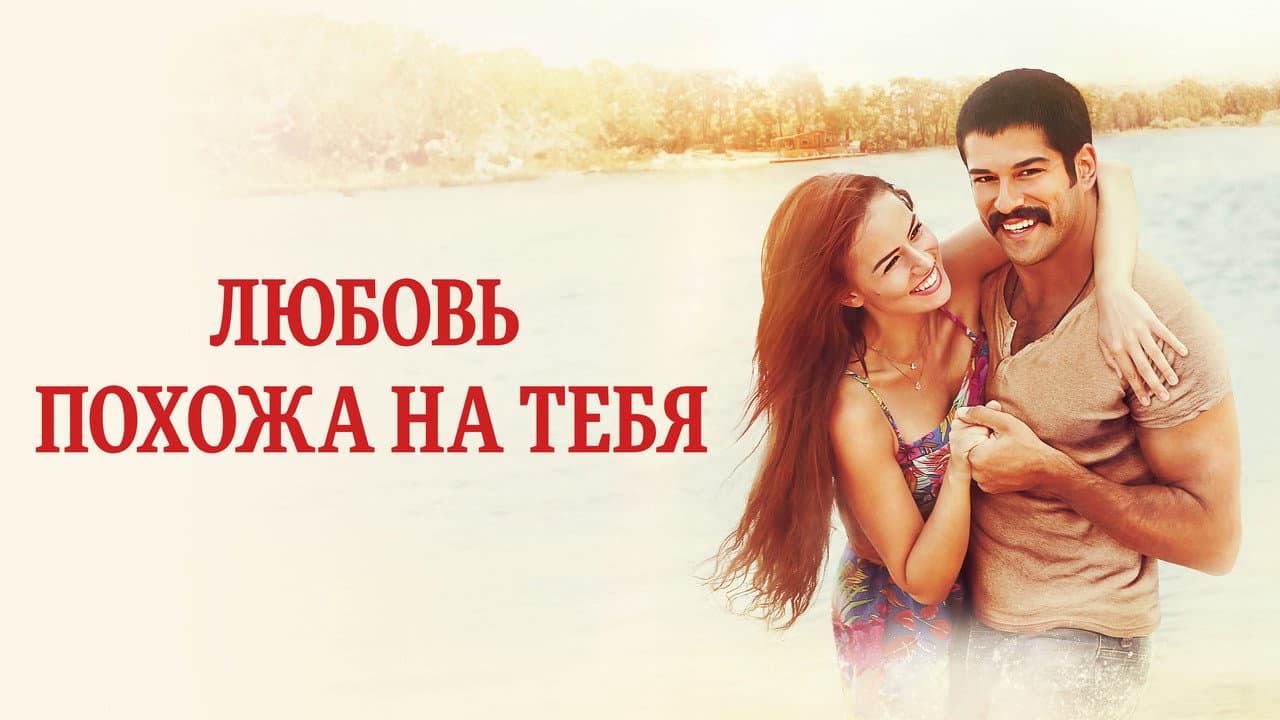 Кадр 1