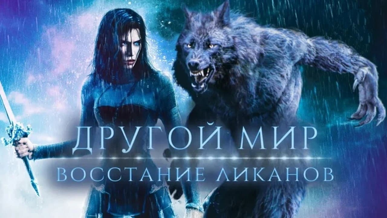 Кадр 4