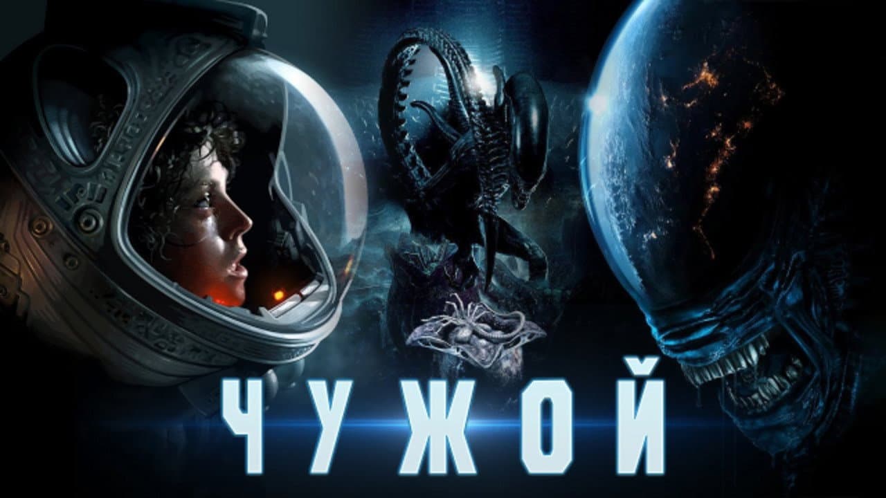 Кадр 5