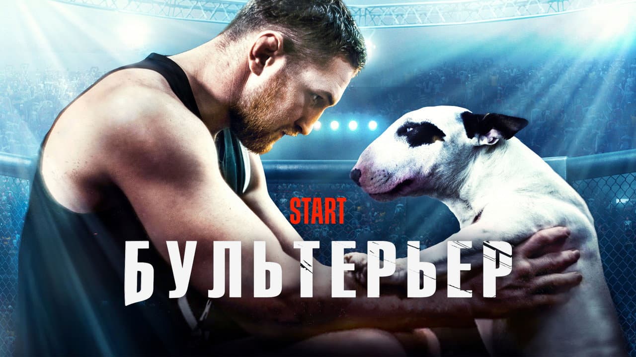 Кадр 1