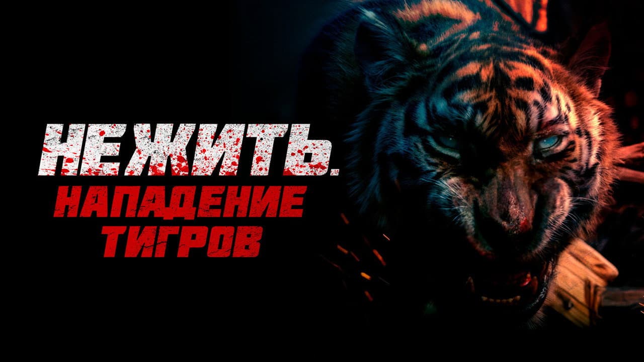 Кадр 1