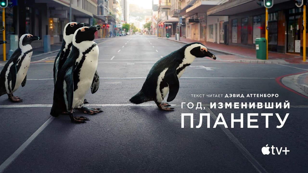 Кадр 1