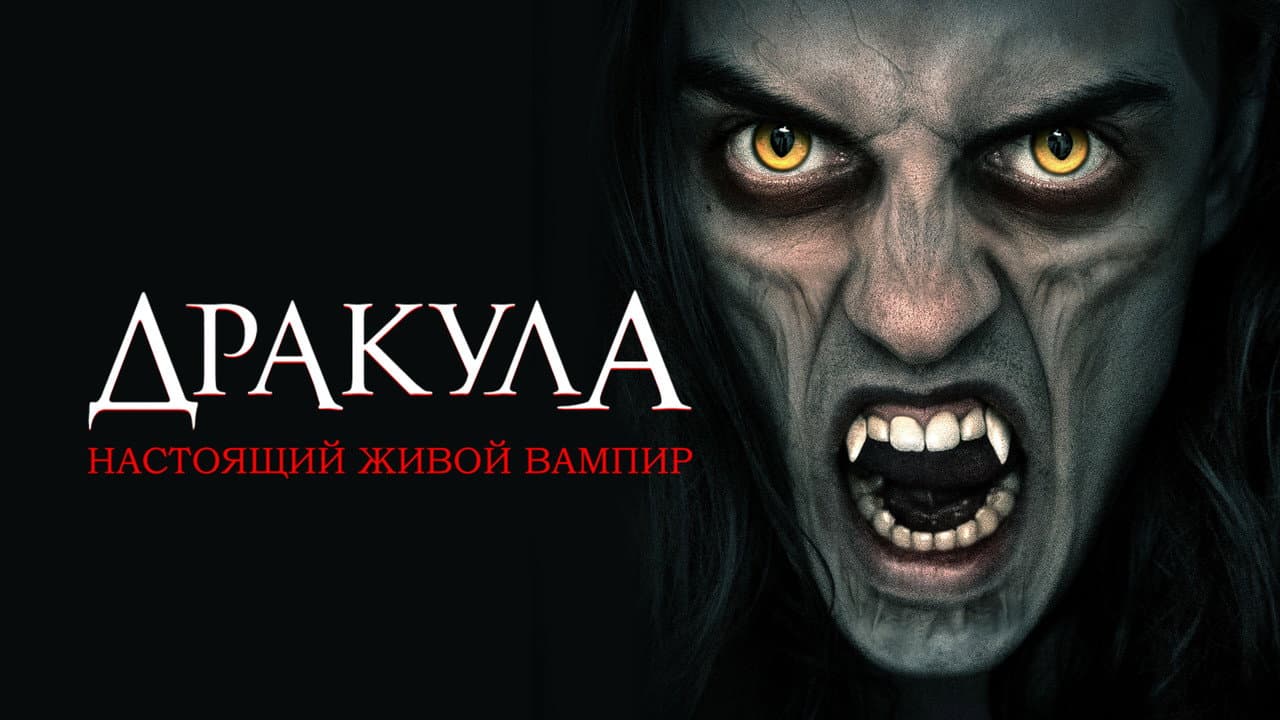 Кадр 1