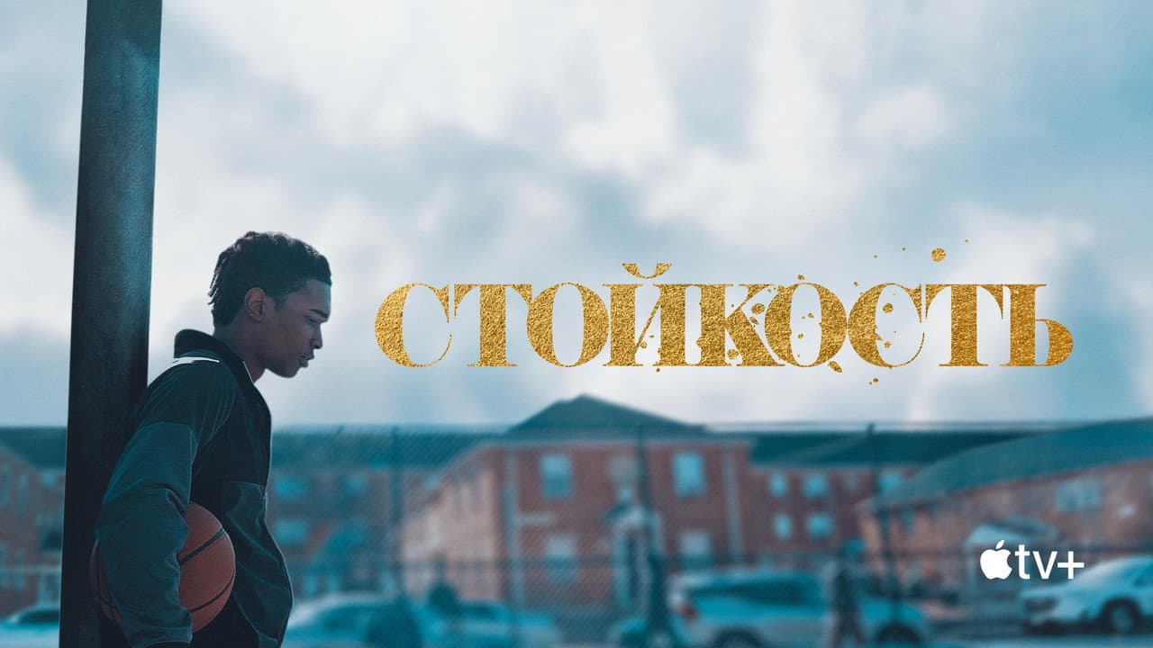 Кадр 1