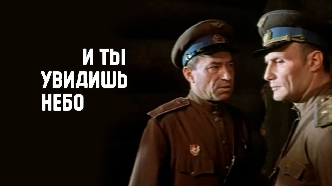 Кадр 1