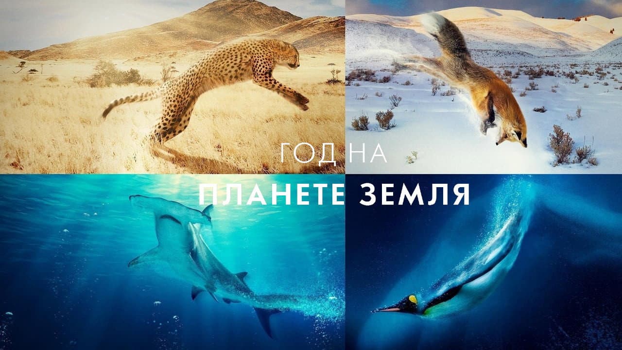 Кадр 1
