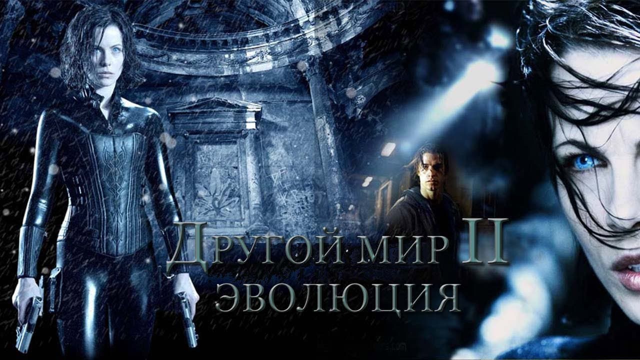 Кадр 4