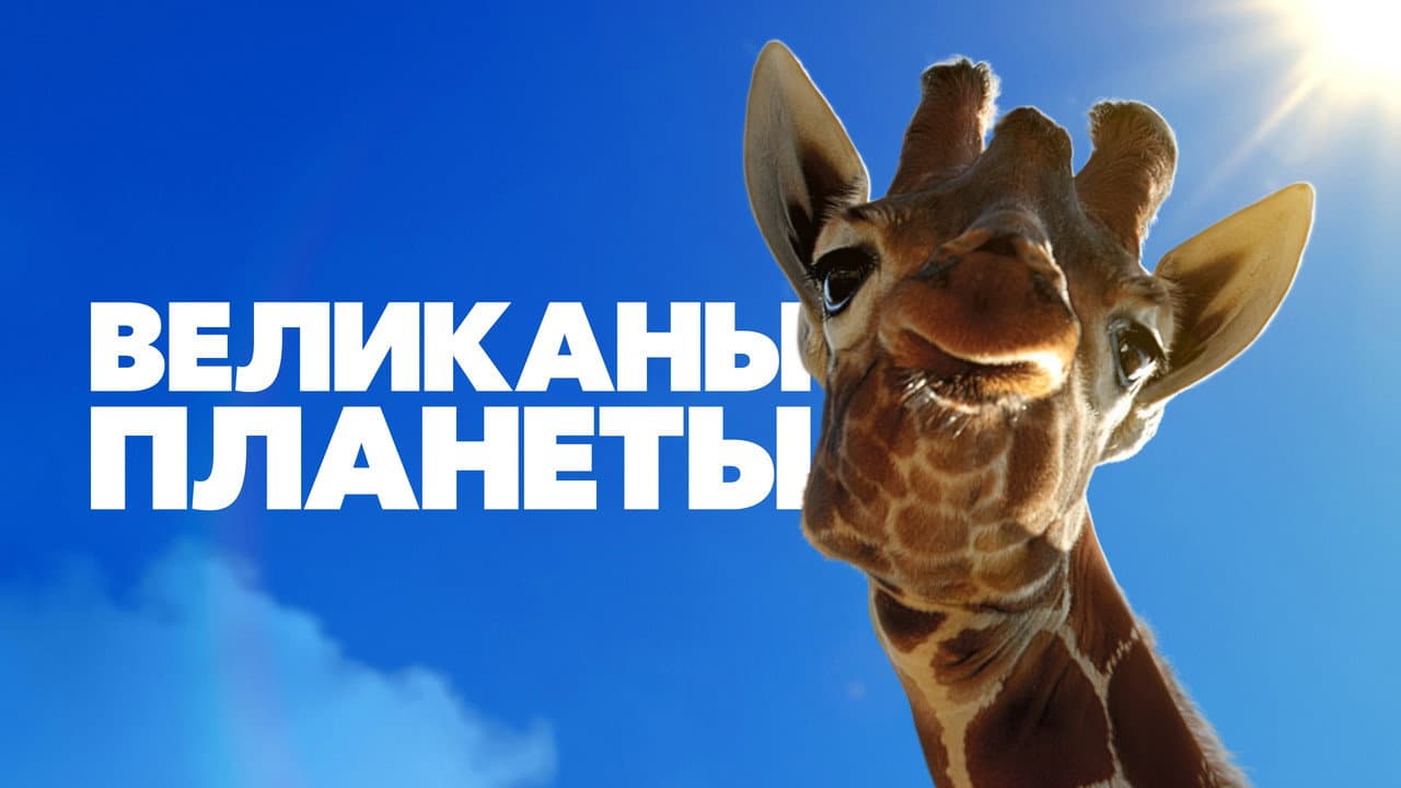 Кадр 1