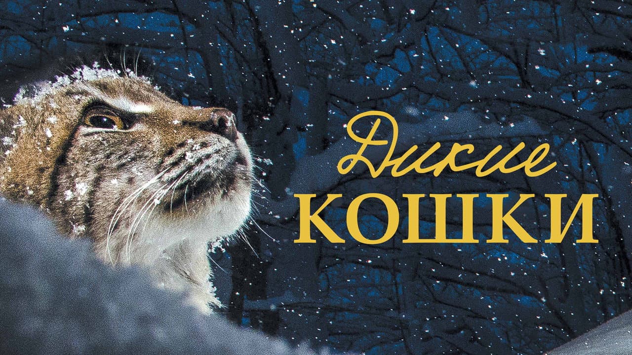 Кадр 2