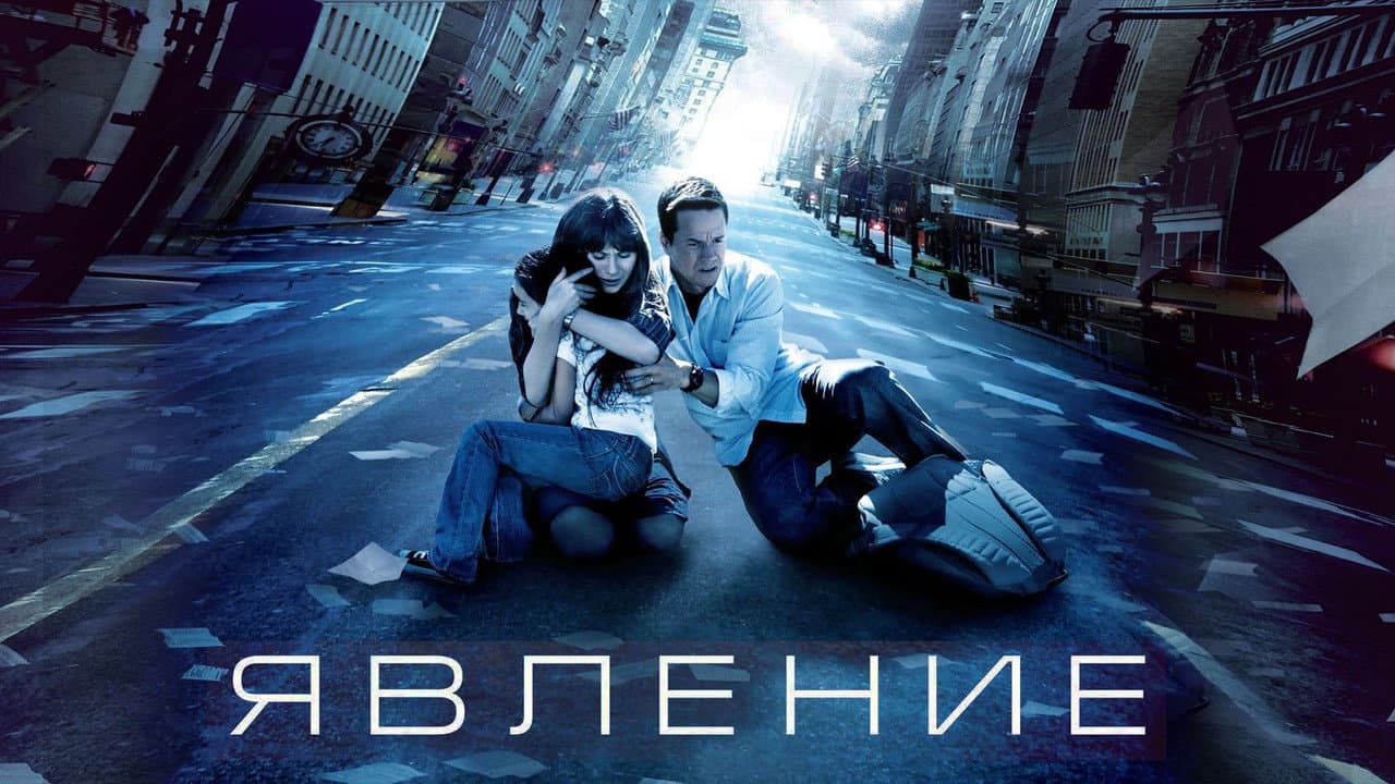 Кадр 1