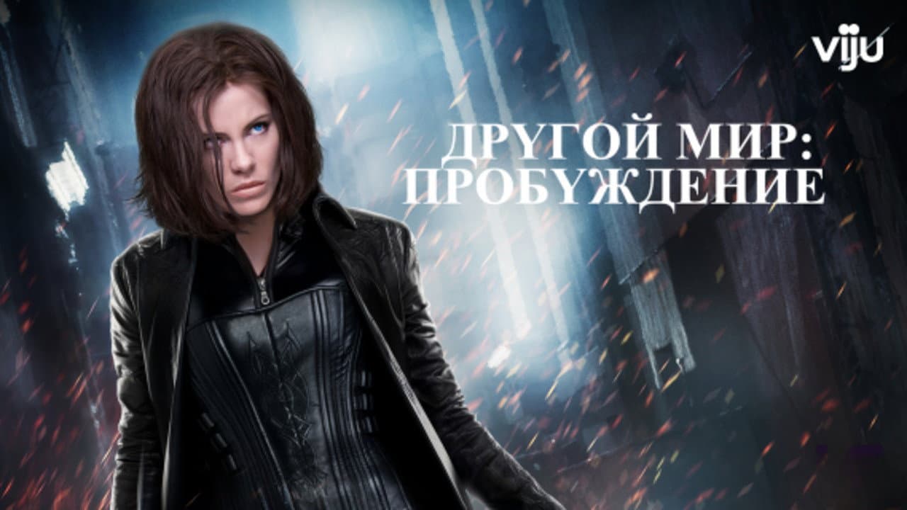 Кадр 3