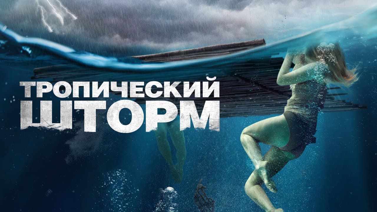 Кадр 1