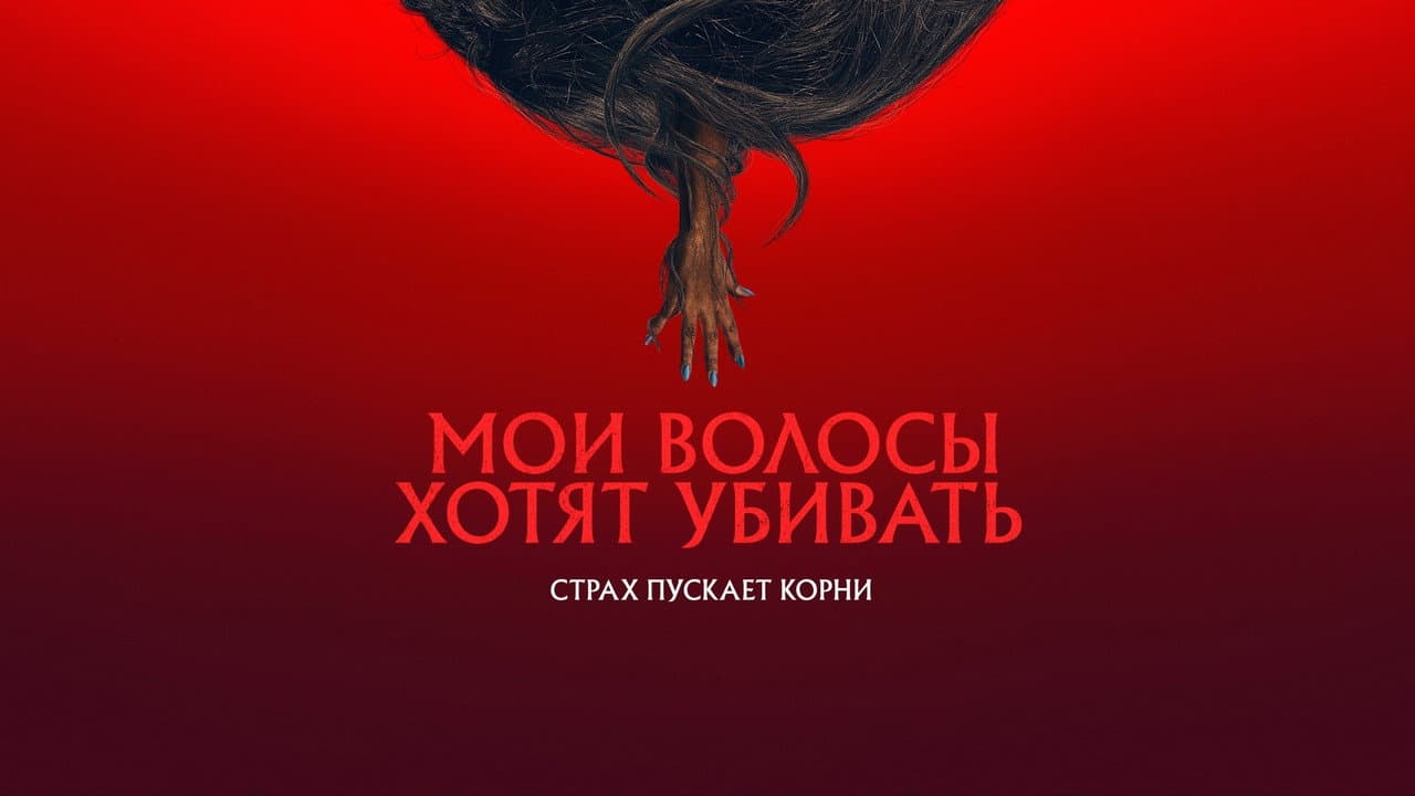 Кадр 1