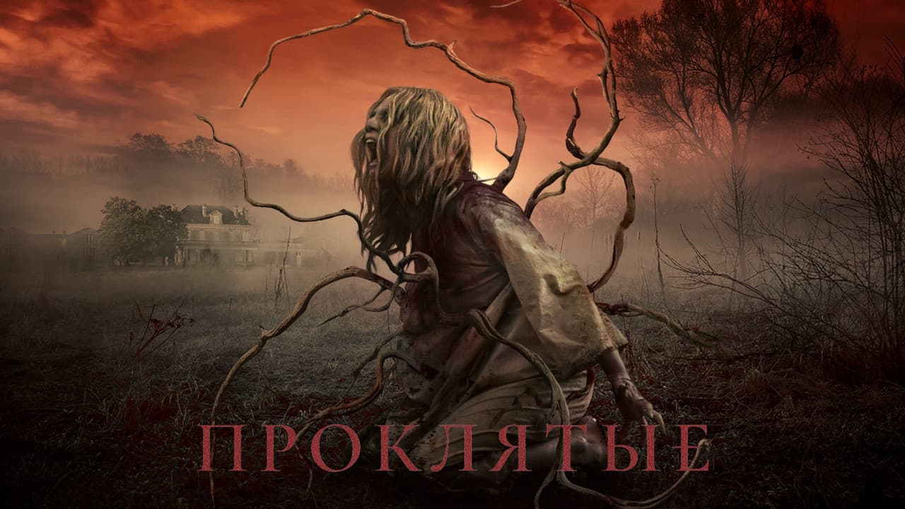 Кадр 1