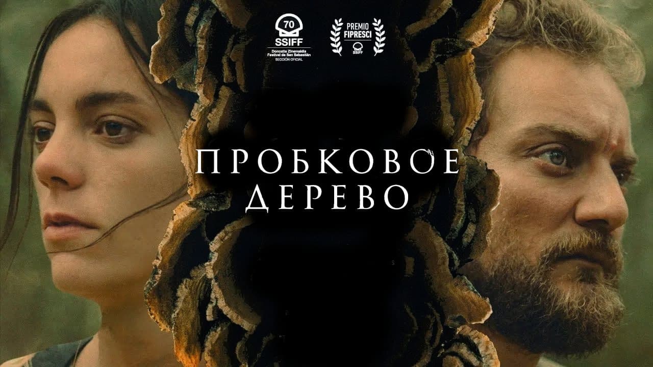 Кадр 1