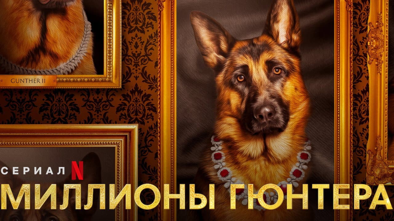 Кадр 1