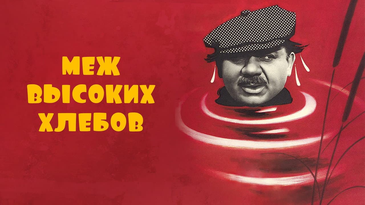 Кадр 1