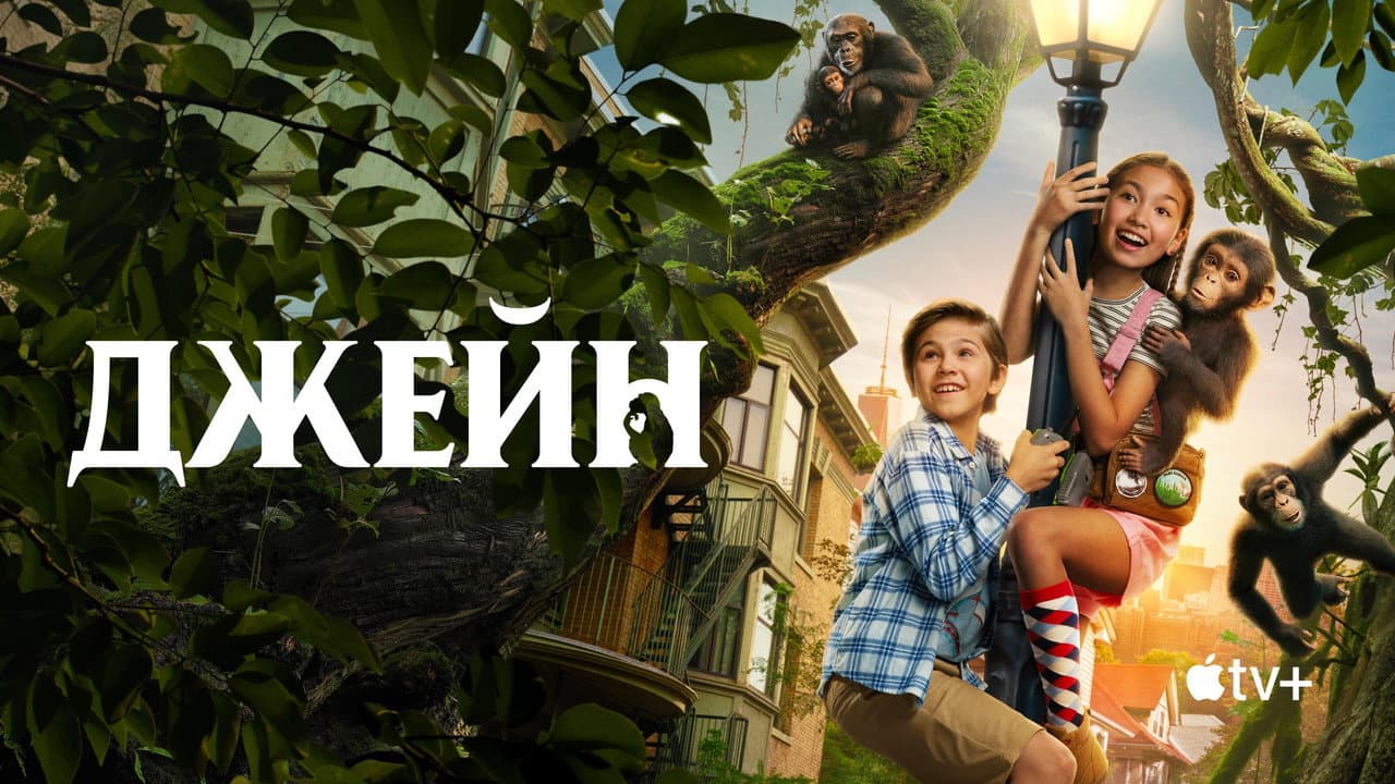 Кадр 3