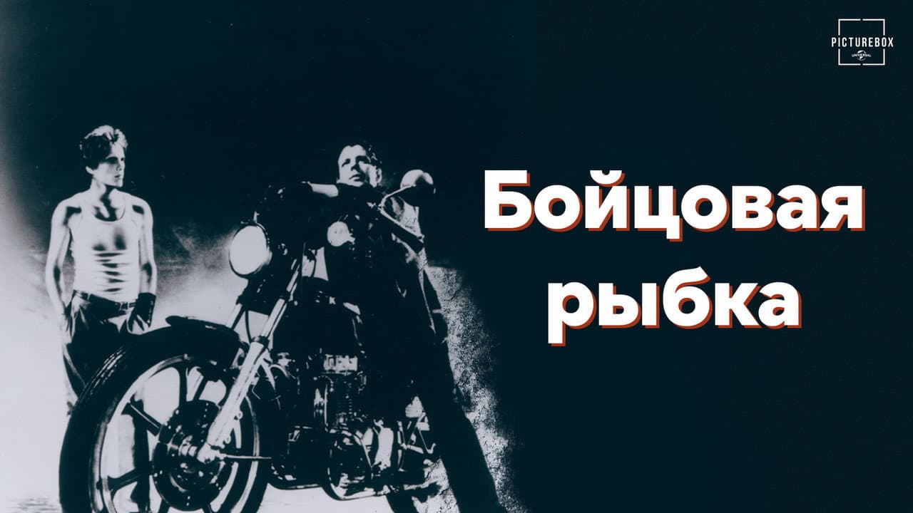 Кадр 1