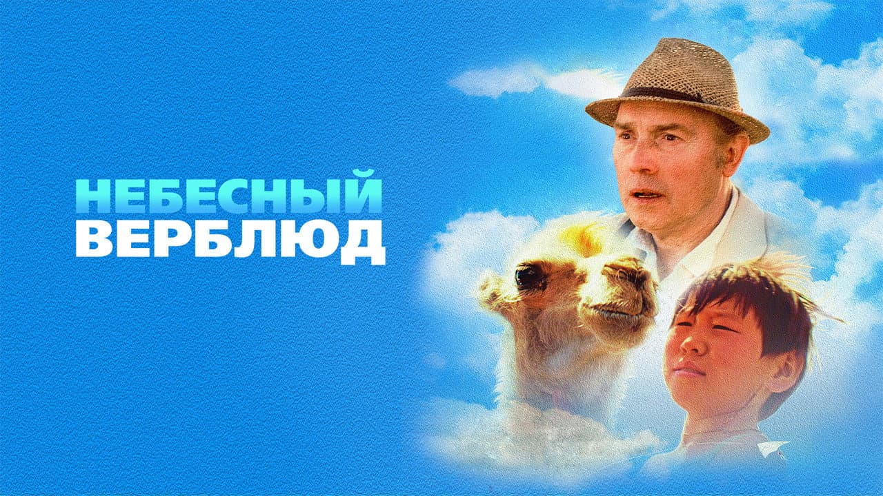 Кадр 1