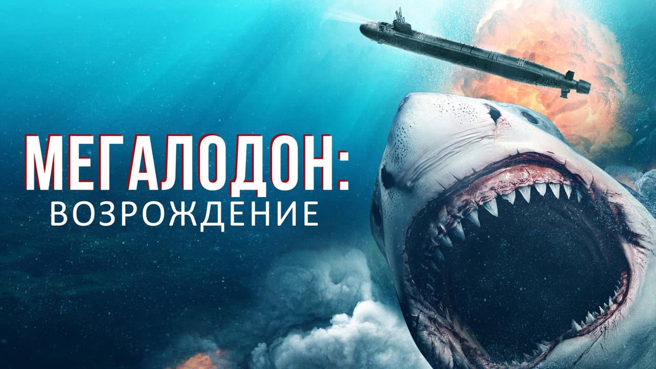 Кадр 1