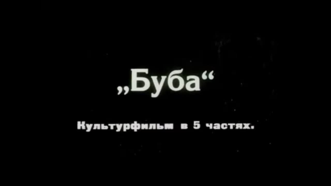 Кадр 1