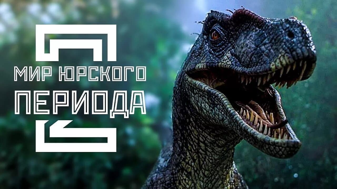 Кадр 1
