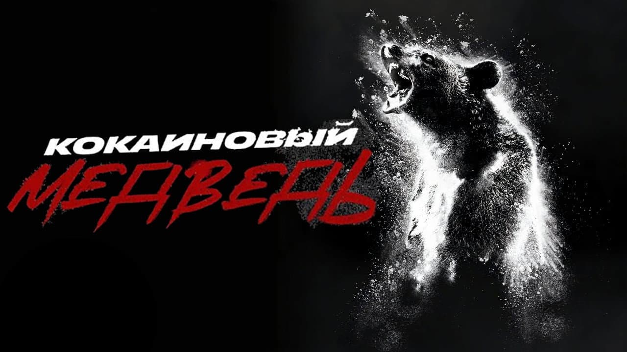 Кадр 1