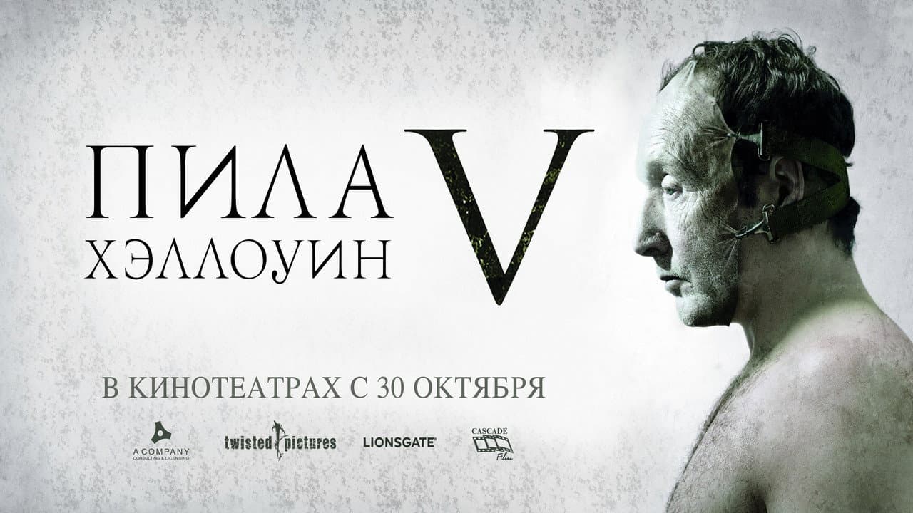 Кадр 1