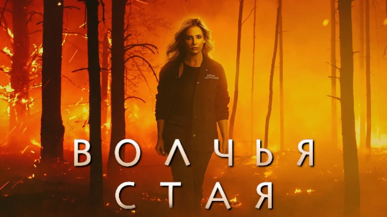 Кадр 1
