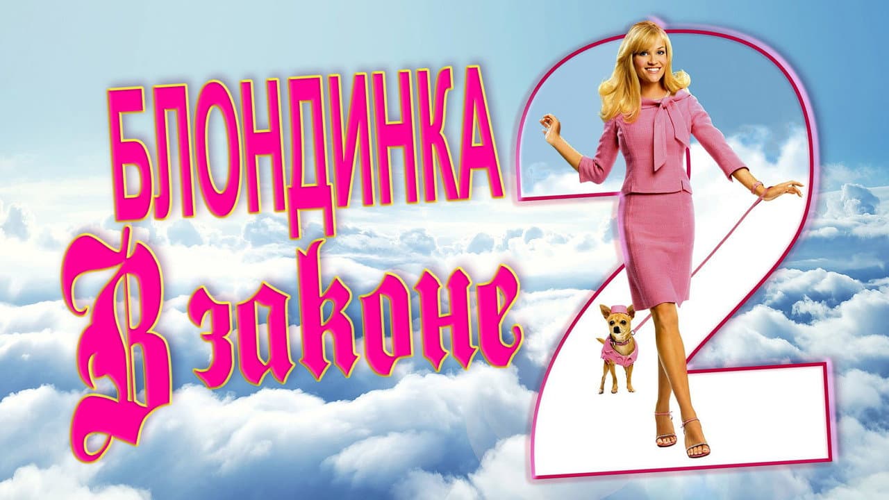 Кадр 1