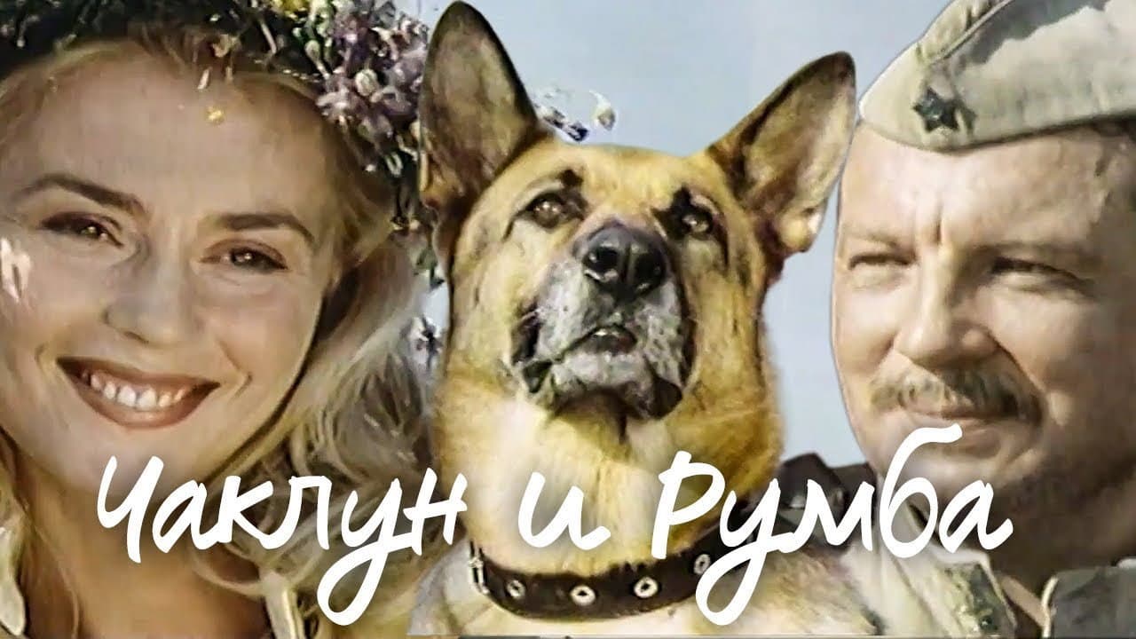 Кадр 1