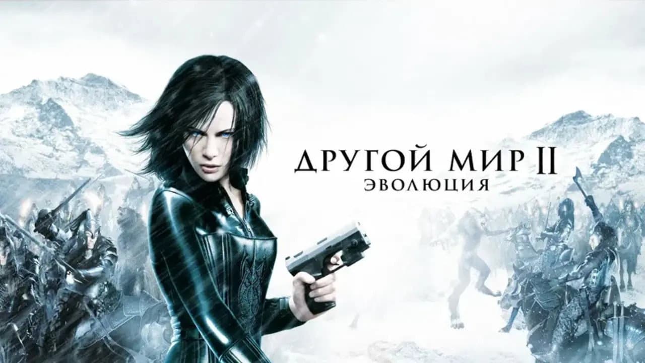 Кадр 1