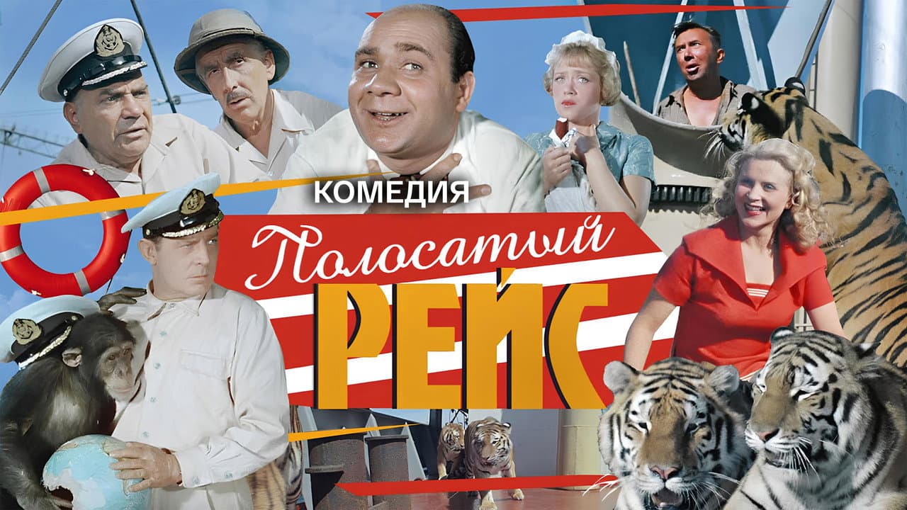 Кадр 2