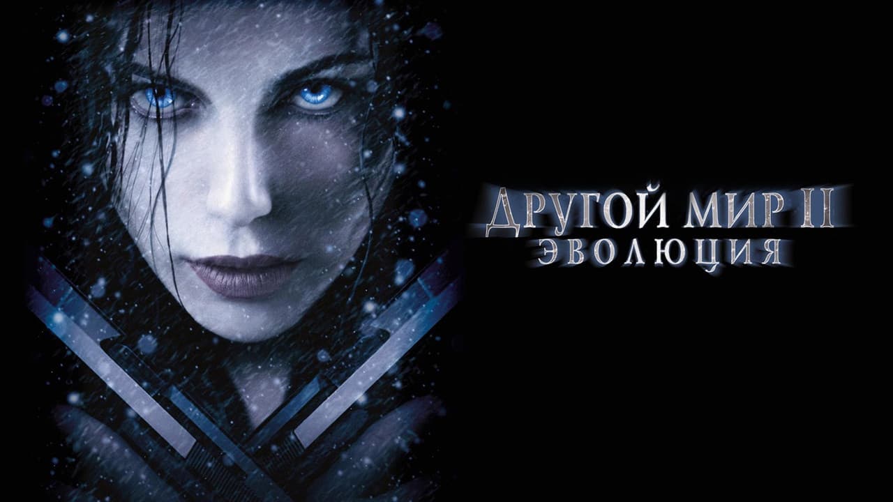 Кадр 5